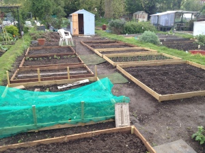 Feels like I am getting going with new crops planted in the raised beds.